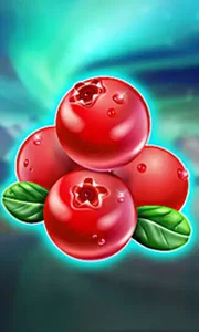 Winterberries